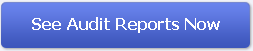 See Audit Reports Now