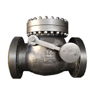 Check Valve with Hammer